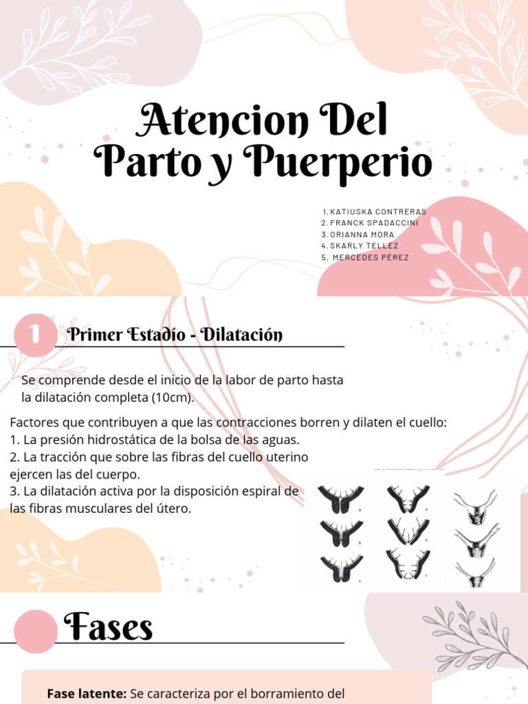 Parto II | PDF | Parto | Periodo posparto