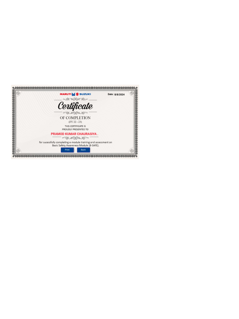 B-SAFE | PDF