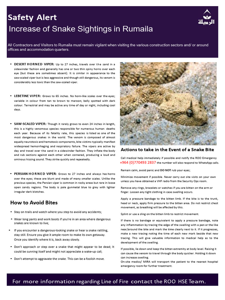 HSE Alert Snakes - English | PDF | Snake | Venomous Snakes