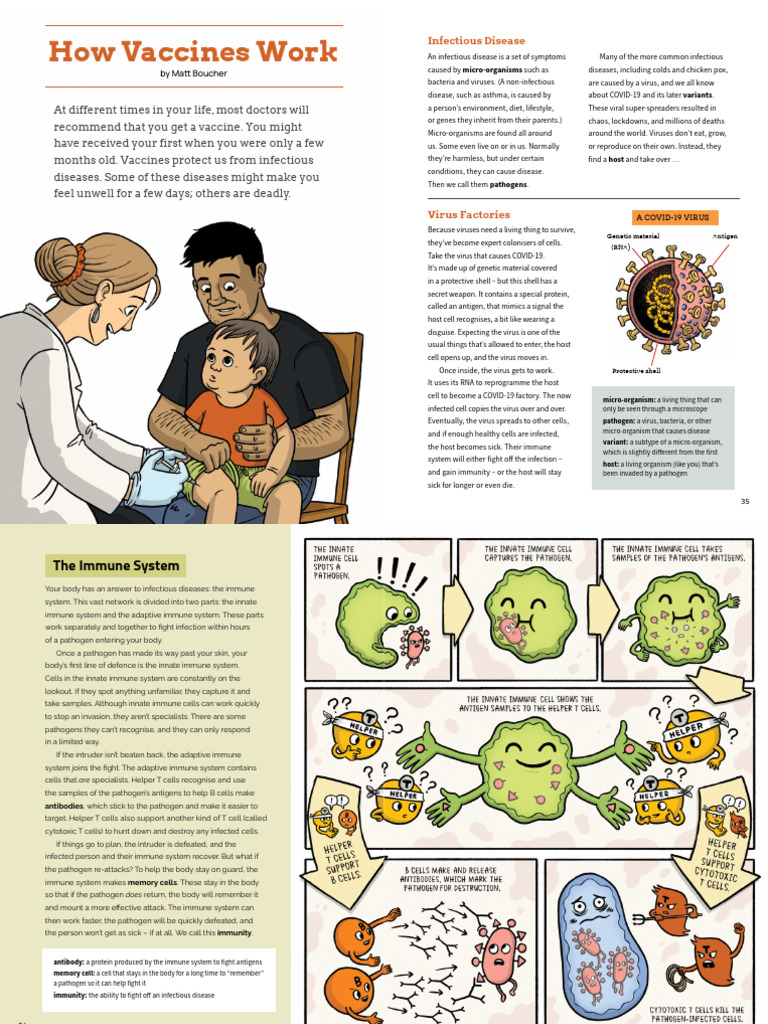 How Vaccines Work Text | PDF | Immune System | Virus