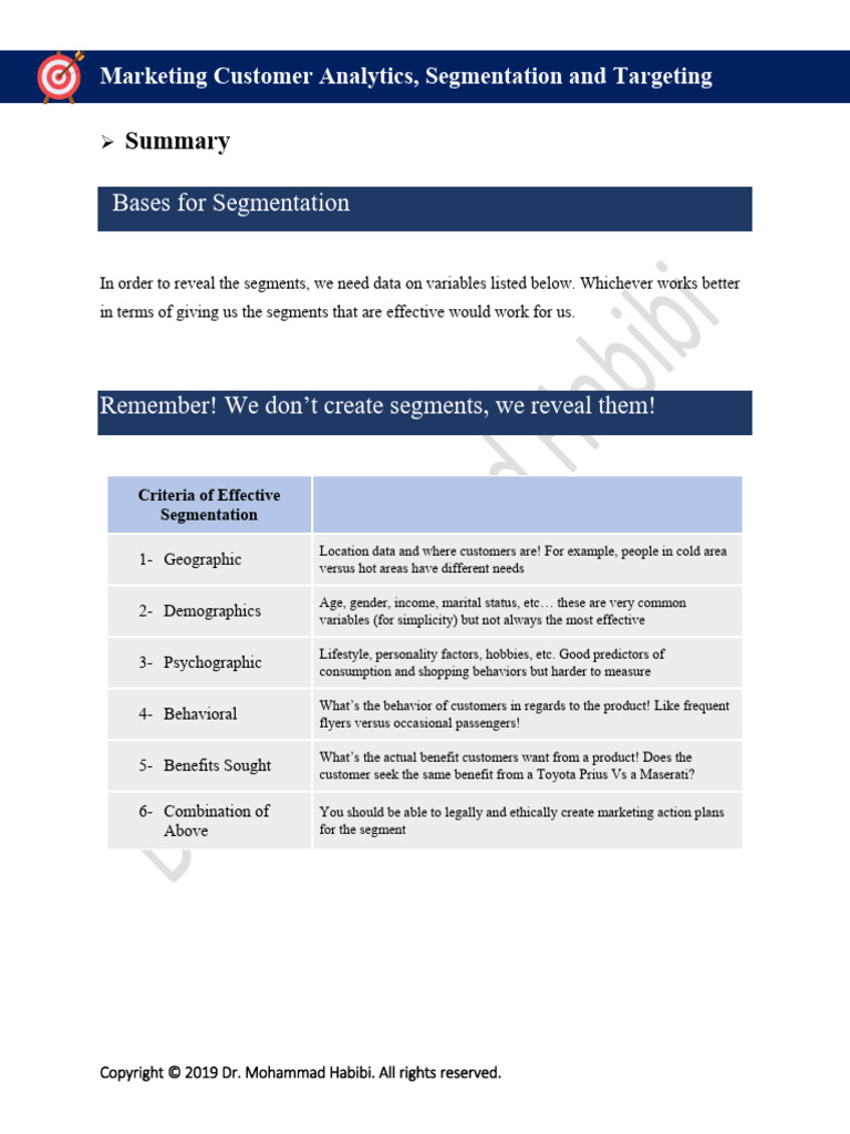 Customer Segmentation Strategies Explained | PDF