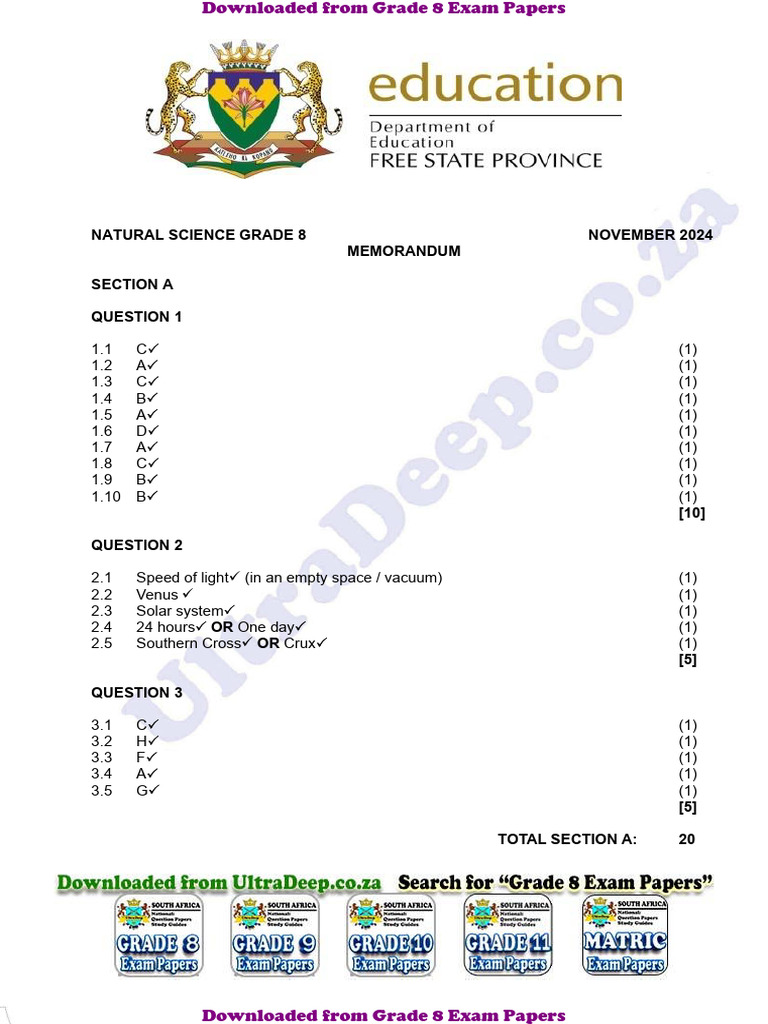 Grade 8 Natural Science Memorandum 2024 | PDF | Series And Parallel ...