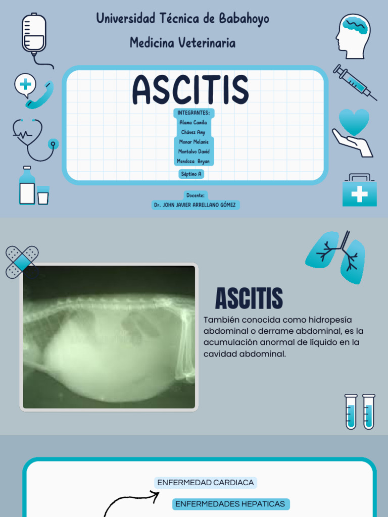 Causas y Manejo de Ascitis en Veterinaria | PDF | Abdomen ...