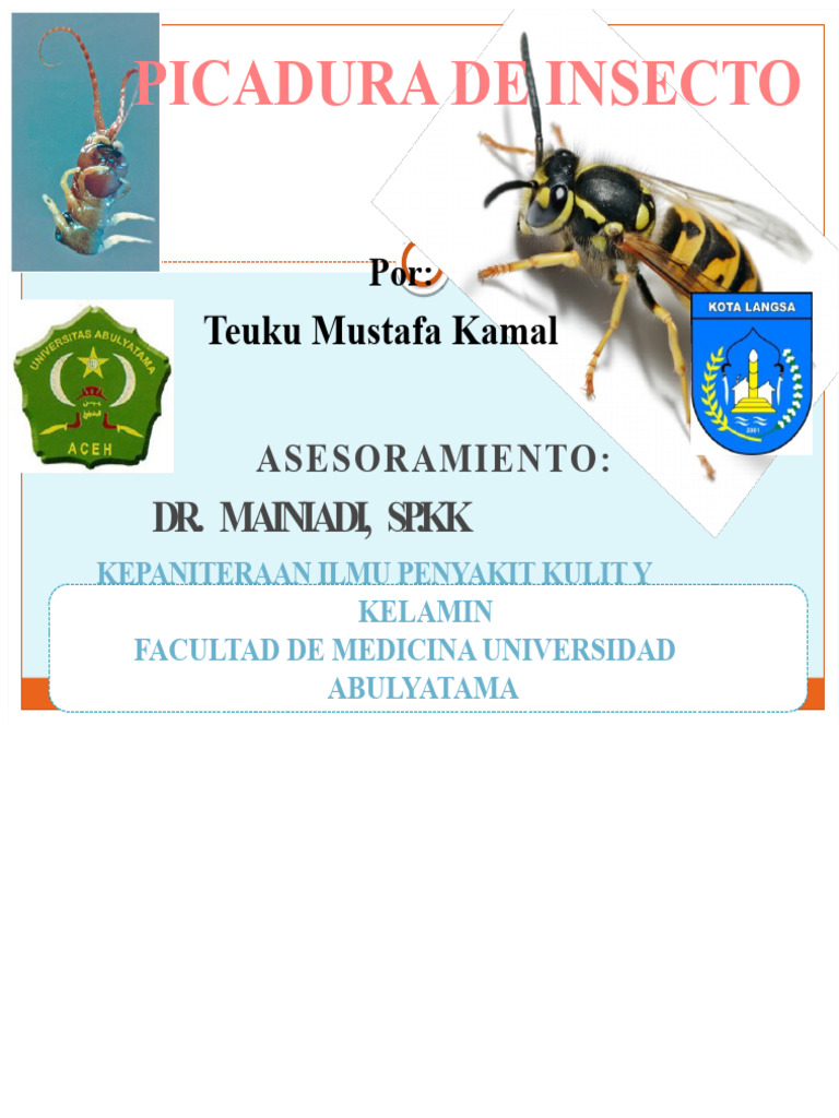 Picadura de Insecto | PDF | Inflamación | Especialidades Medicas