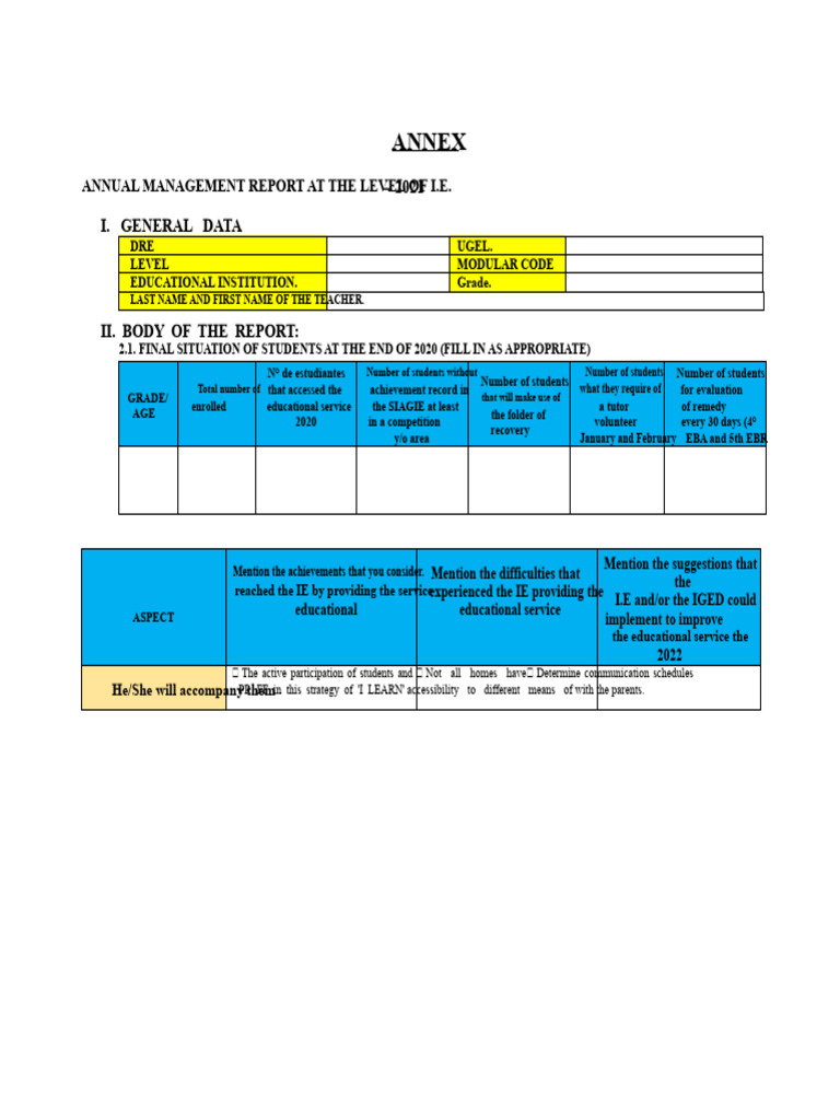 Annual Management Report at The I.E. Level - 2021 | PDF | Learning ...