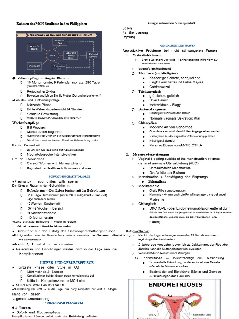 MCN Doc Pacabis | PDF