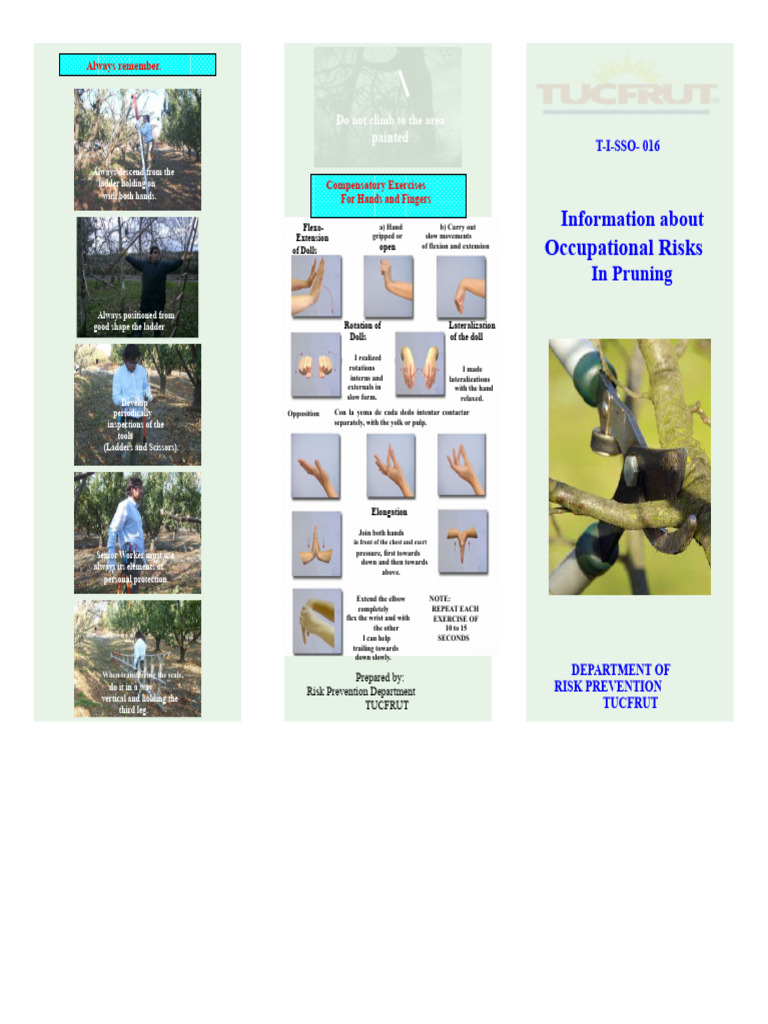 Brochure Pruning | PDF | Anatomical Terms Of Motion