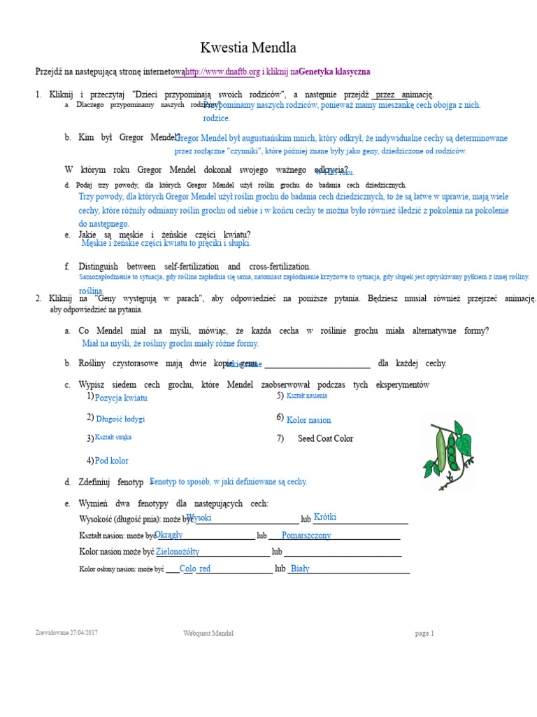 Kami Export - Mendel Webquest KRÓTKI KLUCZ | PDF