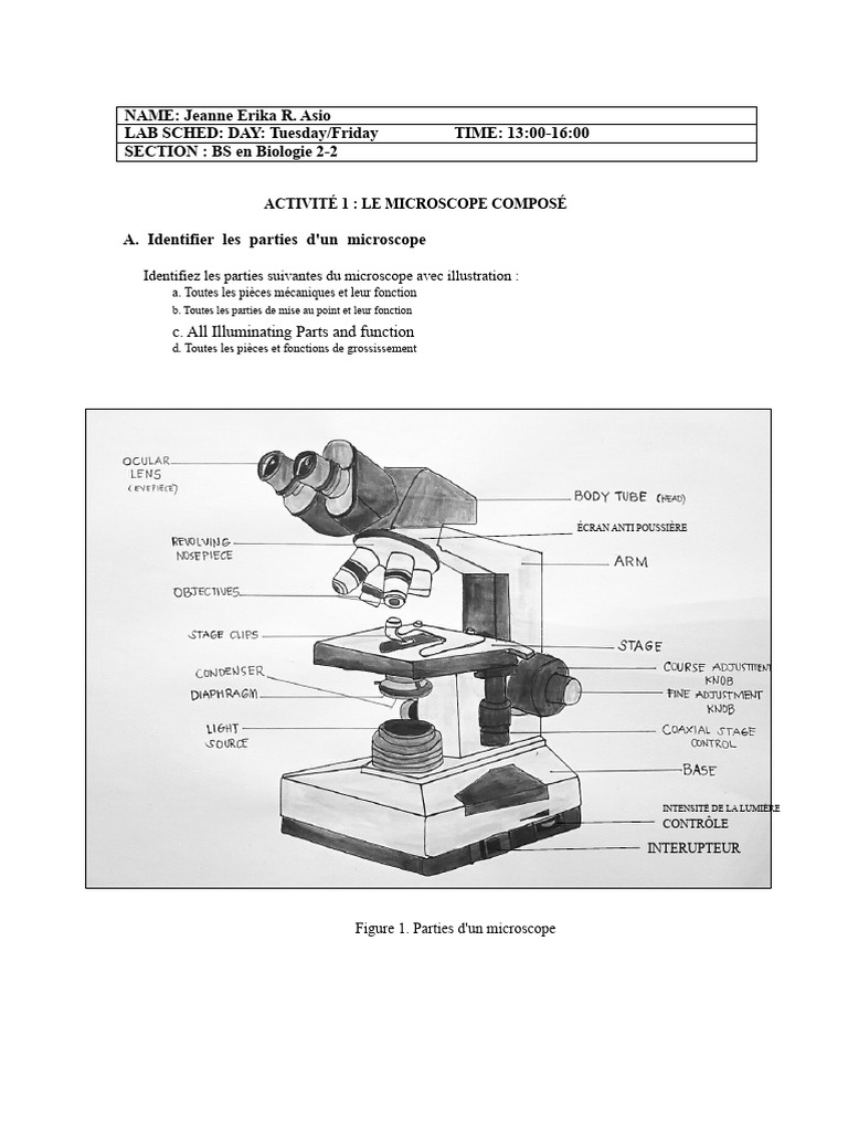 Guide du Microscope Composé en Biologie | PDF | Objectif photographique ...