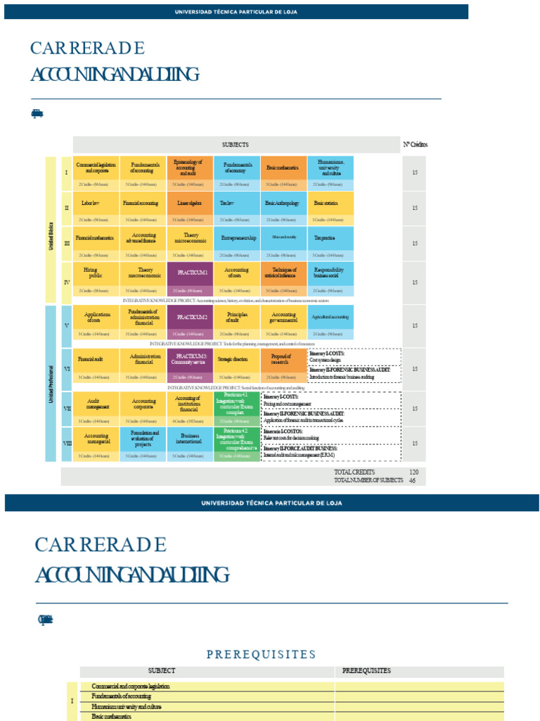 Accounting and Auditing Curriculum Overview | PDF | Accounting | Economics