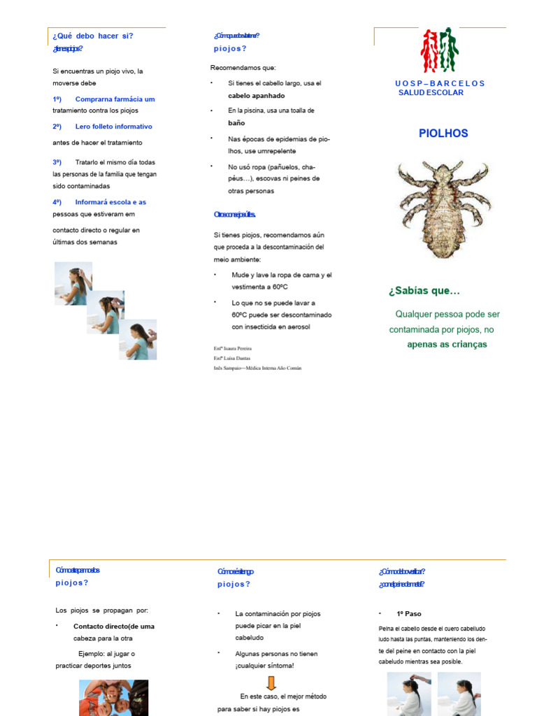 Extraordinary Como Se Dice Piojos En Ingles Gallery