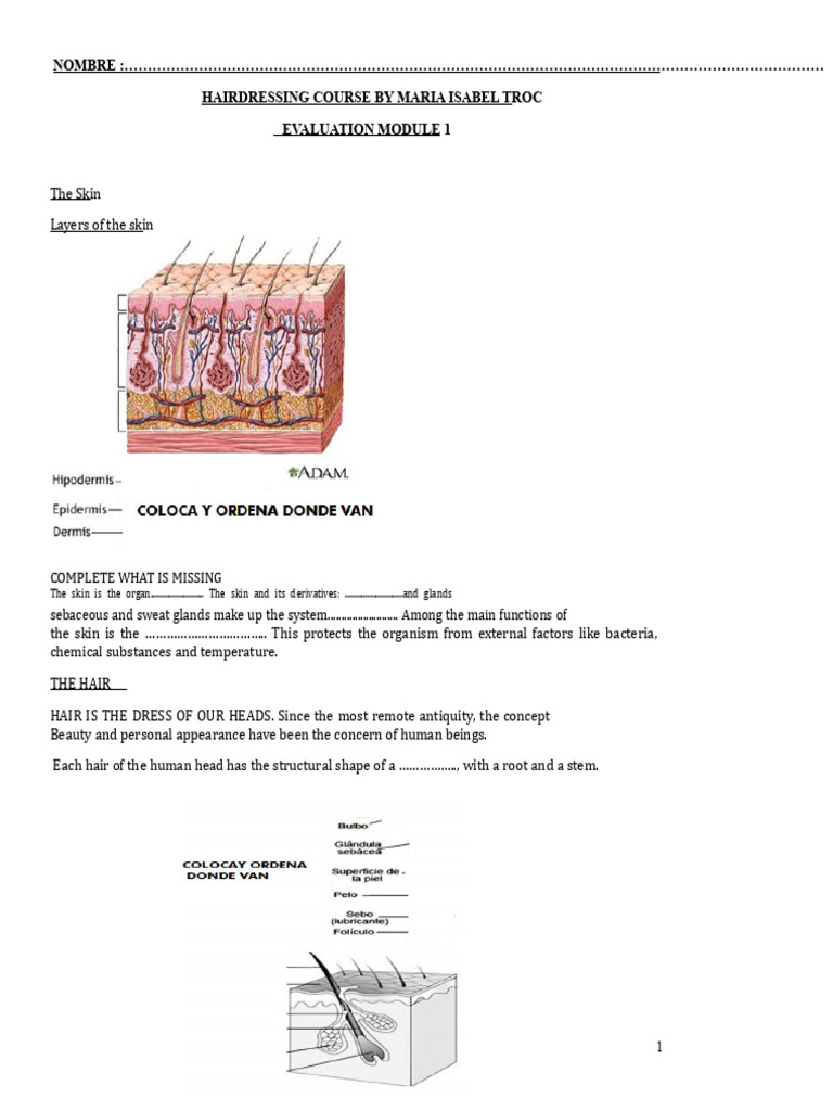 Hairdressing Course Evaluation: Skin & Hair | PDF | Skin | Hair