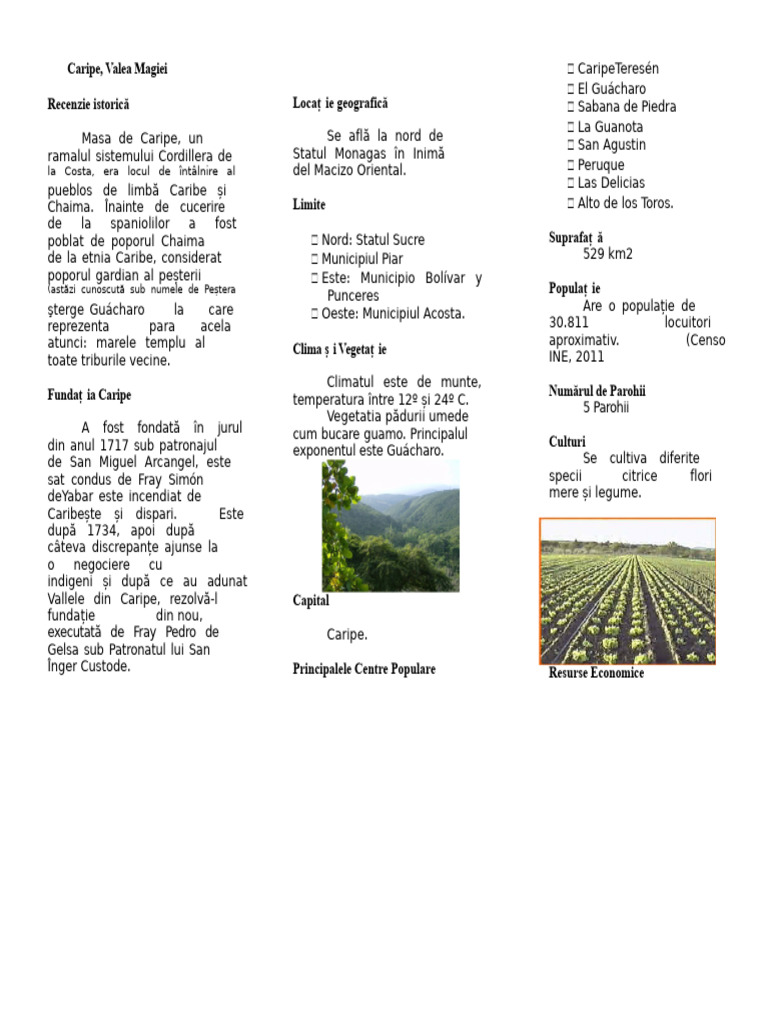 Caripe Triptic | PDF