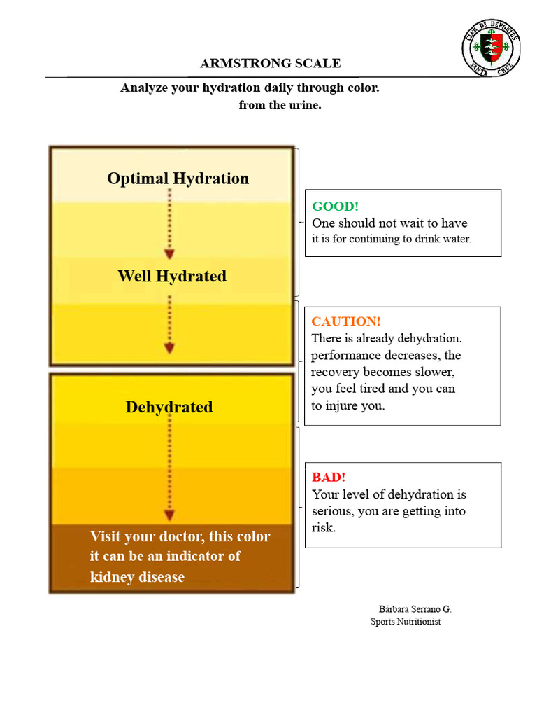 Daily Urine Color Hydration Guide | PDF