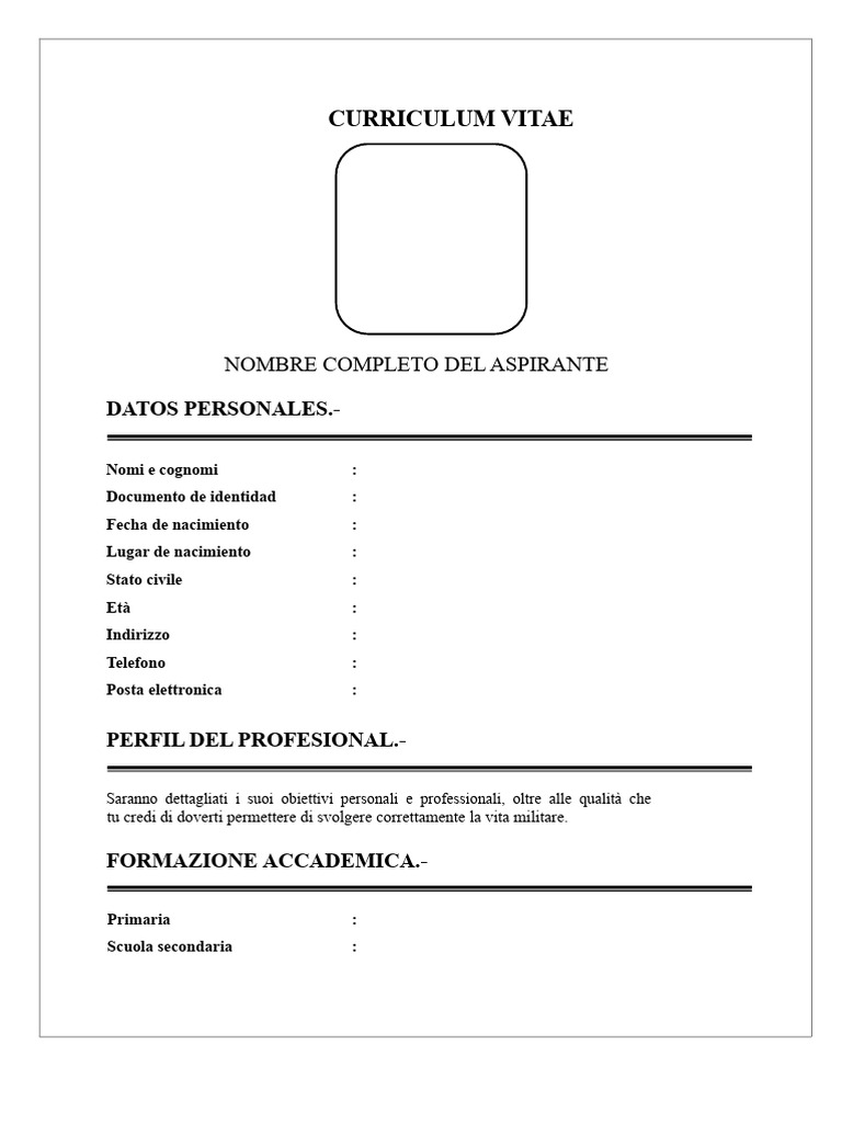 Formato Di Curriculum Vitae | PDF