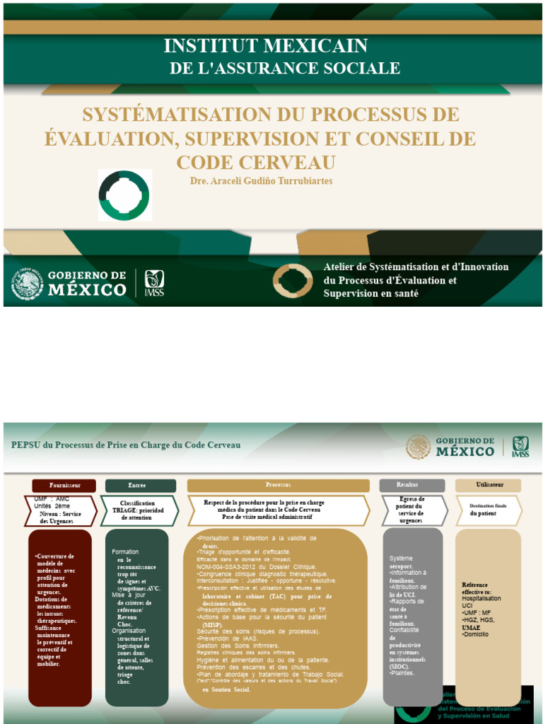 Évaluation du Code Cerveau en Urgences | PDF | Obésité | Accident ...