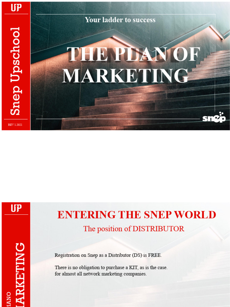 The SNEP Winning Plan | PDF | Economies