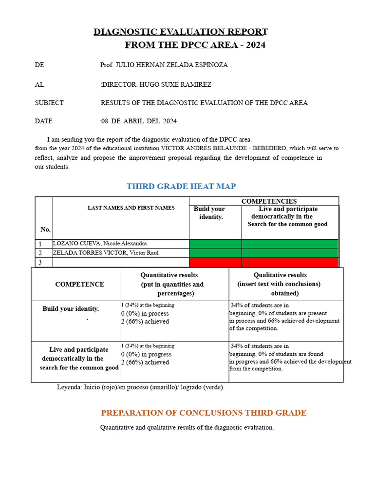 2024 DPCC Area Diagnostic Evaluation Report | PDF | Cognition