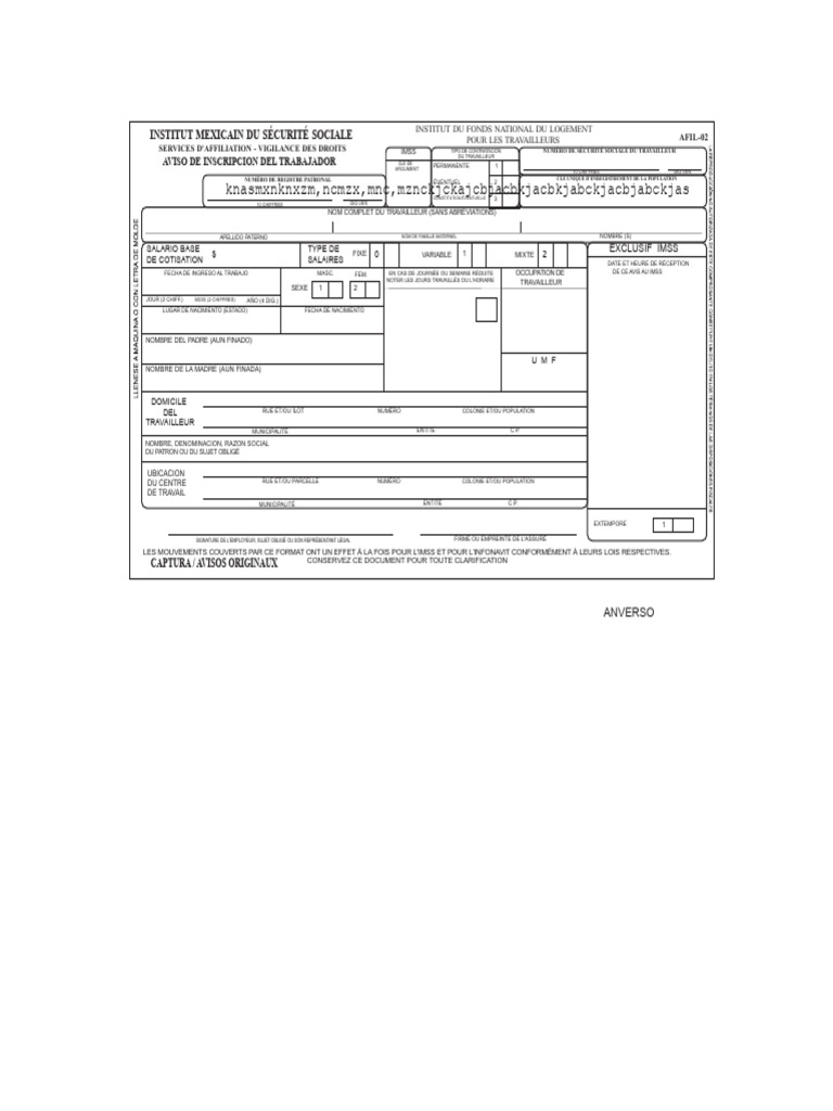 Inscription au IMSS pour Travailleurs | PDF | Certificat de naissance ...