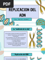 Mecanismos de Replicación del ADN | PDF | Replicación De Adn | Adn