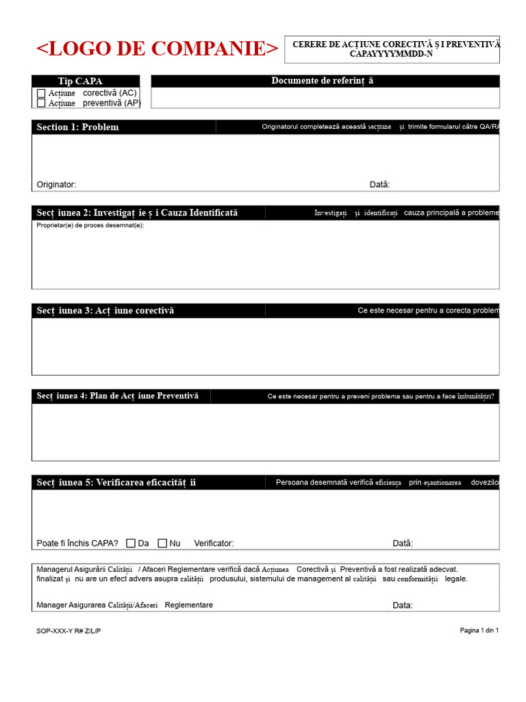 Exemplu de Formular CAPA | PDF