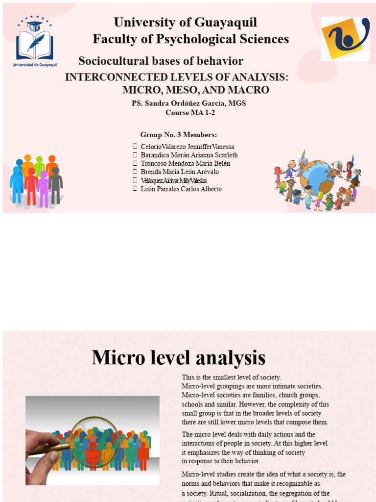 Interrelated Levels of Analysis (Micro, Meso, and Macro) | PDF | Sociology  | Attitude (Psychology)