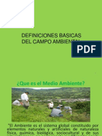 Definiciones Basicas Del Campo Ambiental