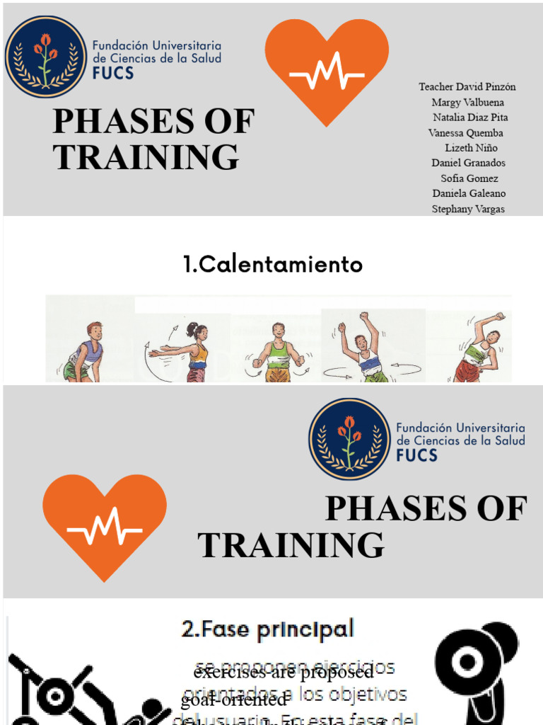 Phases of Training | PDF