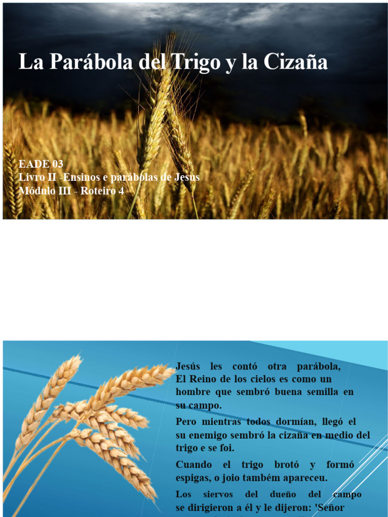 Parábola Del Trigo y La Cizaña | PDF | Parábolas de Jesús | Siembra