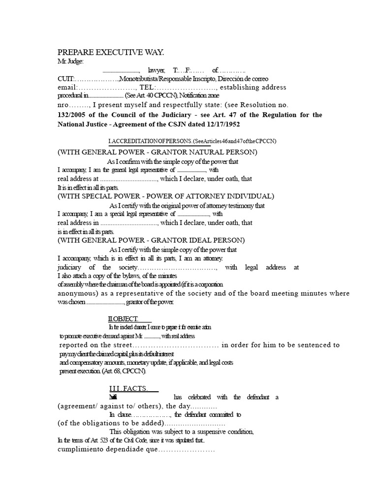 Executive Legal Action Preparation Guide | PDF | Lawyer | Power Of Attorney