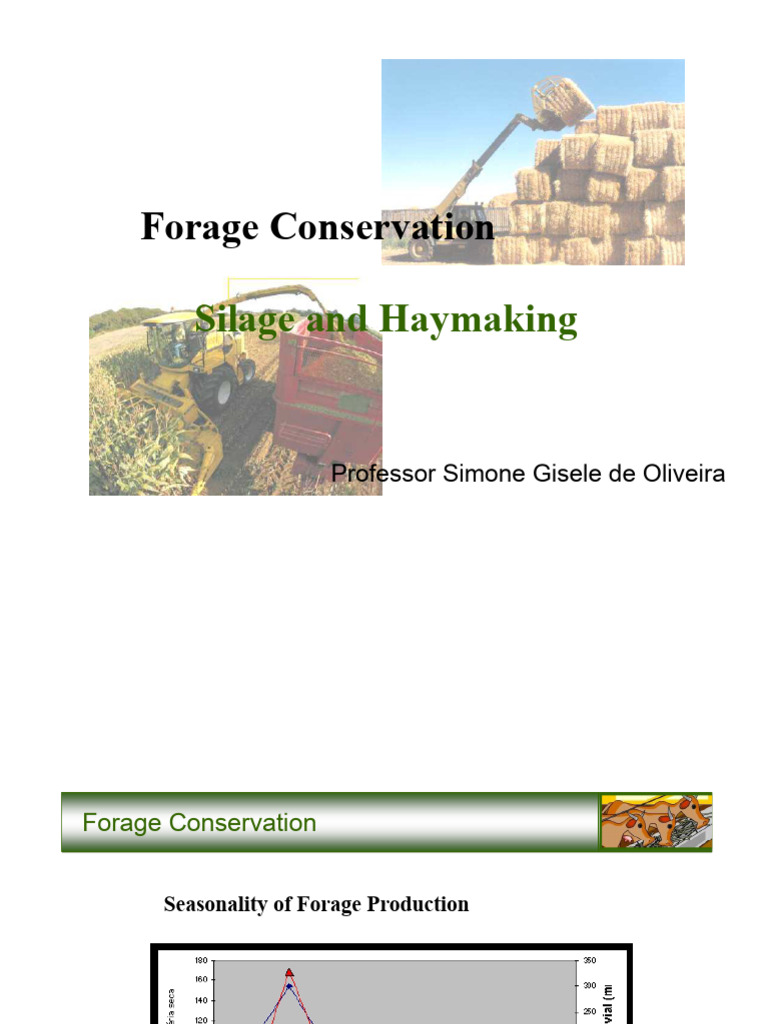 Forage Conservation Techniques and Silage Quality | PDF | Hay ...