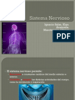 05 - Sistema Nervioso