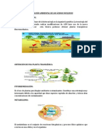 Aplicación Ambiental de Los Ácidos Nucleicos