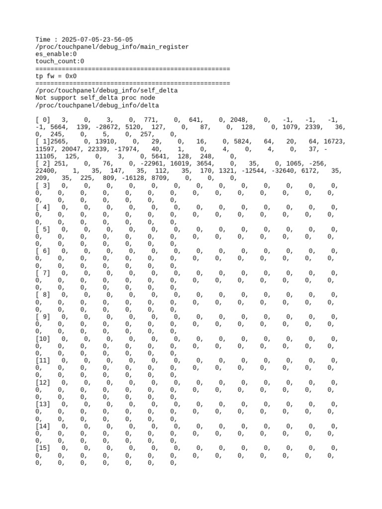 TP Debug Info | PDF