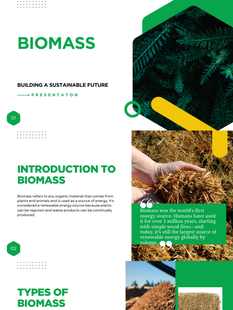 Biomass Presentation | PDF | Biofuel | Energy Development