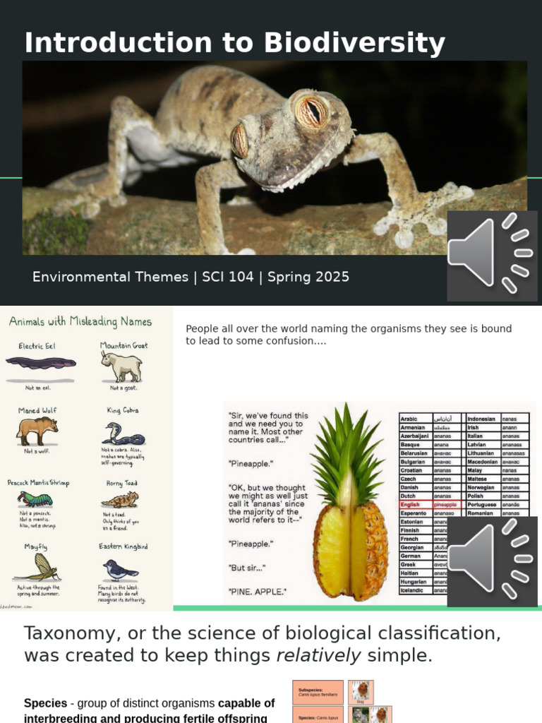 Understanding Biodiversity Components | PDF | Biodiversity | Species