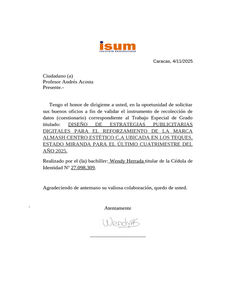 Estrategias Publicitarias Digitales Almash | PDF