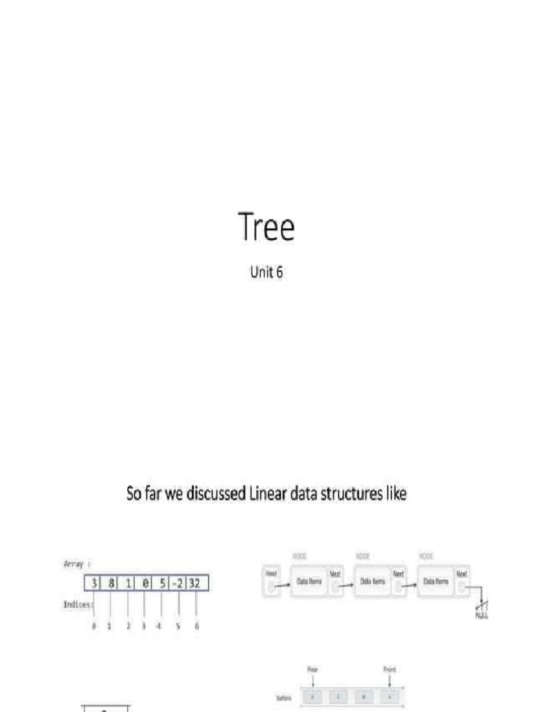 Trees | PDF