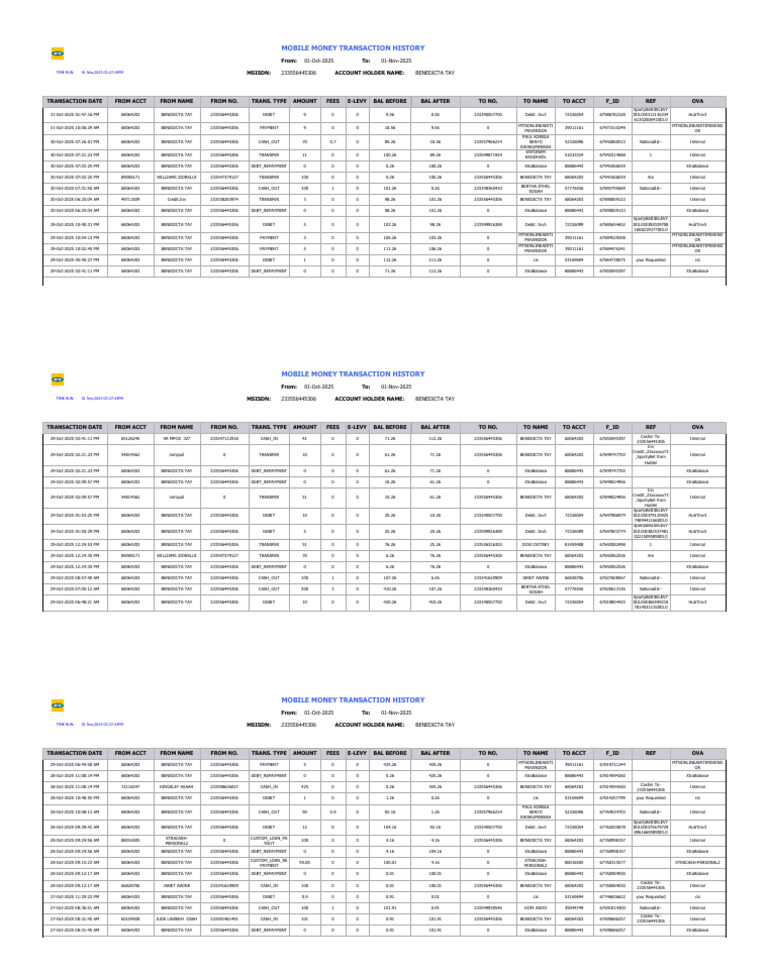 Momo Statement Report | PDF | Debit Card | Finance & Money Management