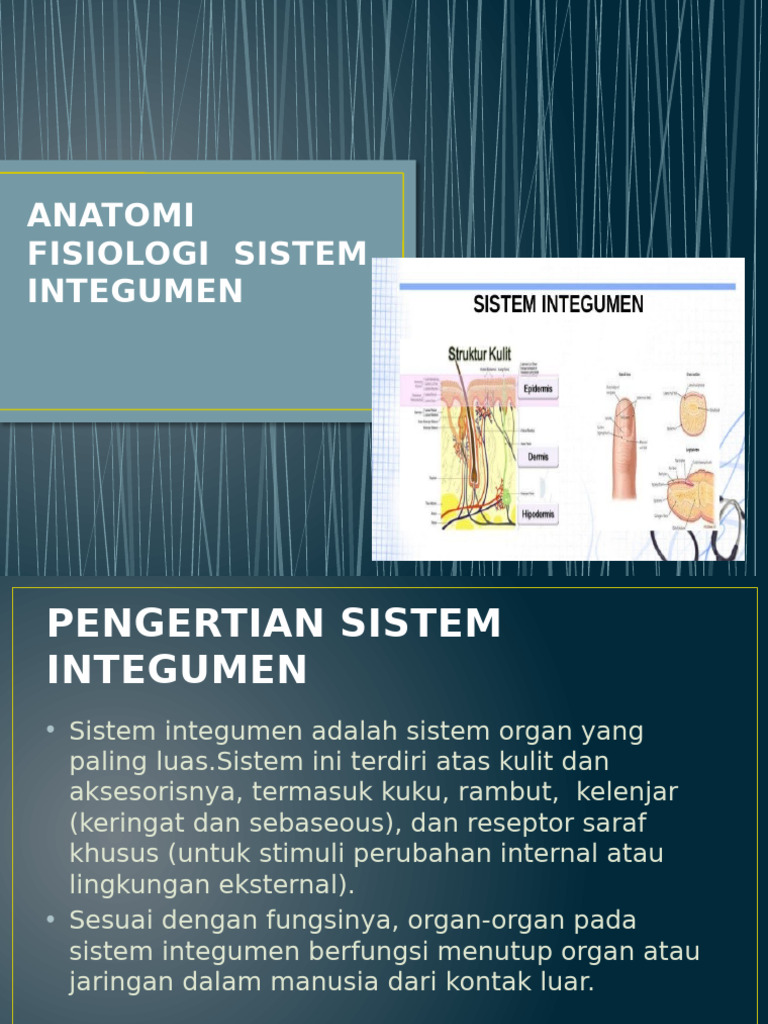 Struktur dan Fungsi Sistem Integumen | PDF