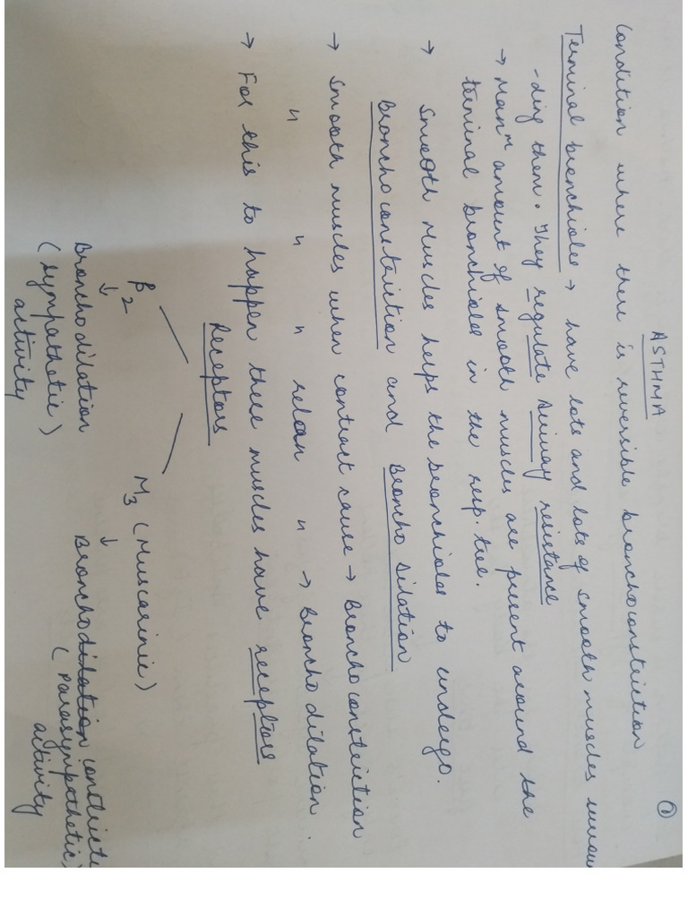 ACE Scanner Document Overview | PDF