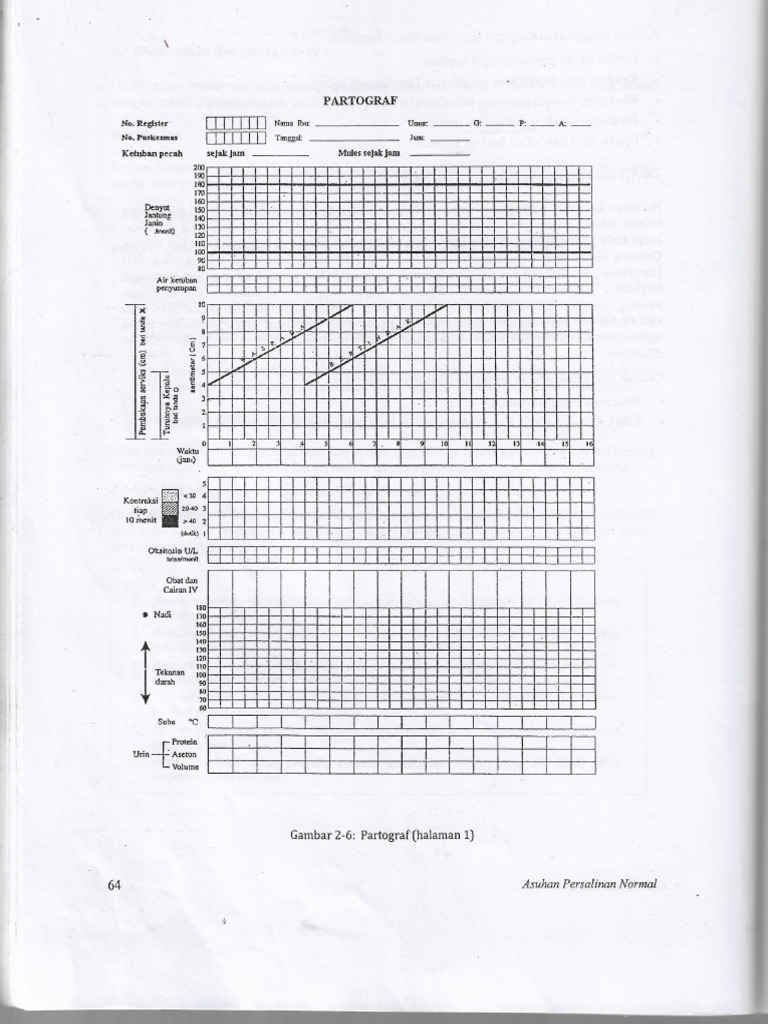 lembar partograf | PDF