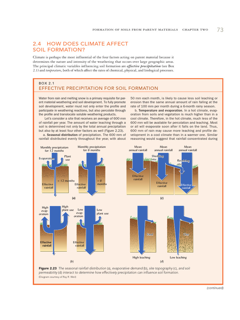 Climate's Role in Soil Formation | PDF | Soil | Weathering