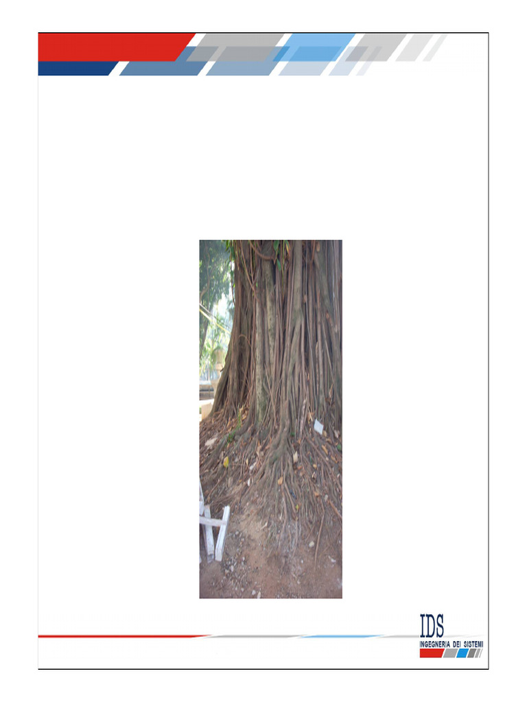 ILTech_IDS GPR ALADDIN_Trees survey | PDF | Radar | Electromagnetic ...