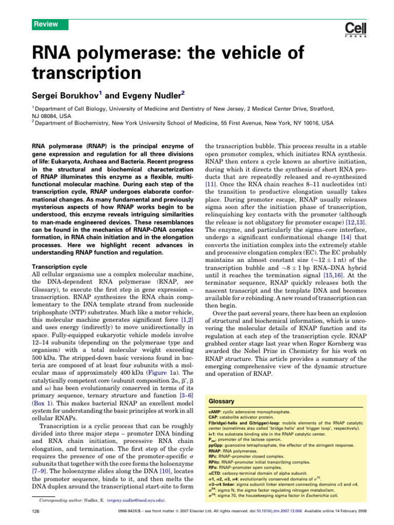 RNA Polymerase: Key to Transcription Mechanics | PDF | Promoter ...