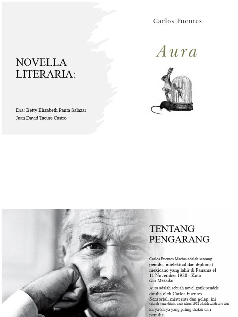 "Aura: Novel Gotik Carlos Fuentes" | PDF