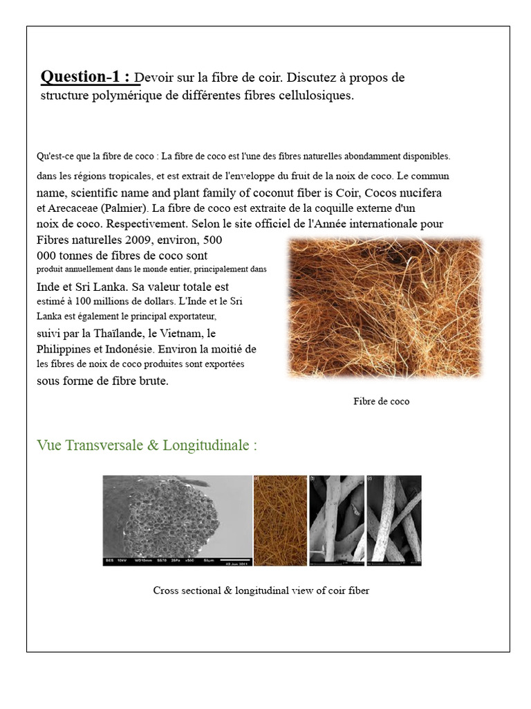 Fibre de coco : structure et utilisation | PDF | Cellulose | Lin cultivé