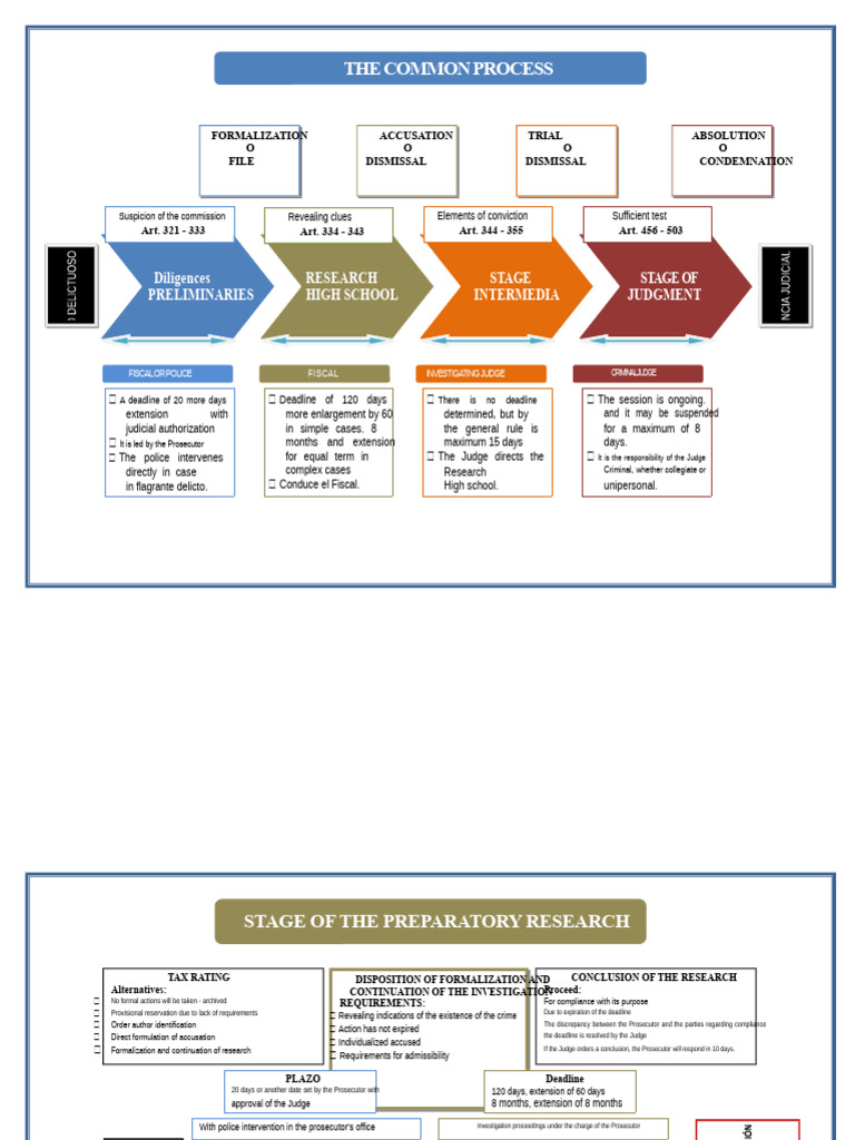 Schemes of The Criminal Process | PDF | Prosecutor | Probation