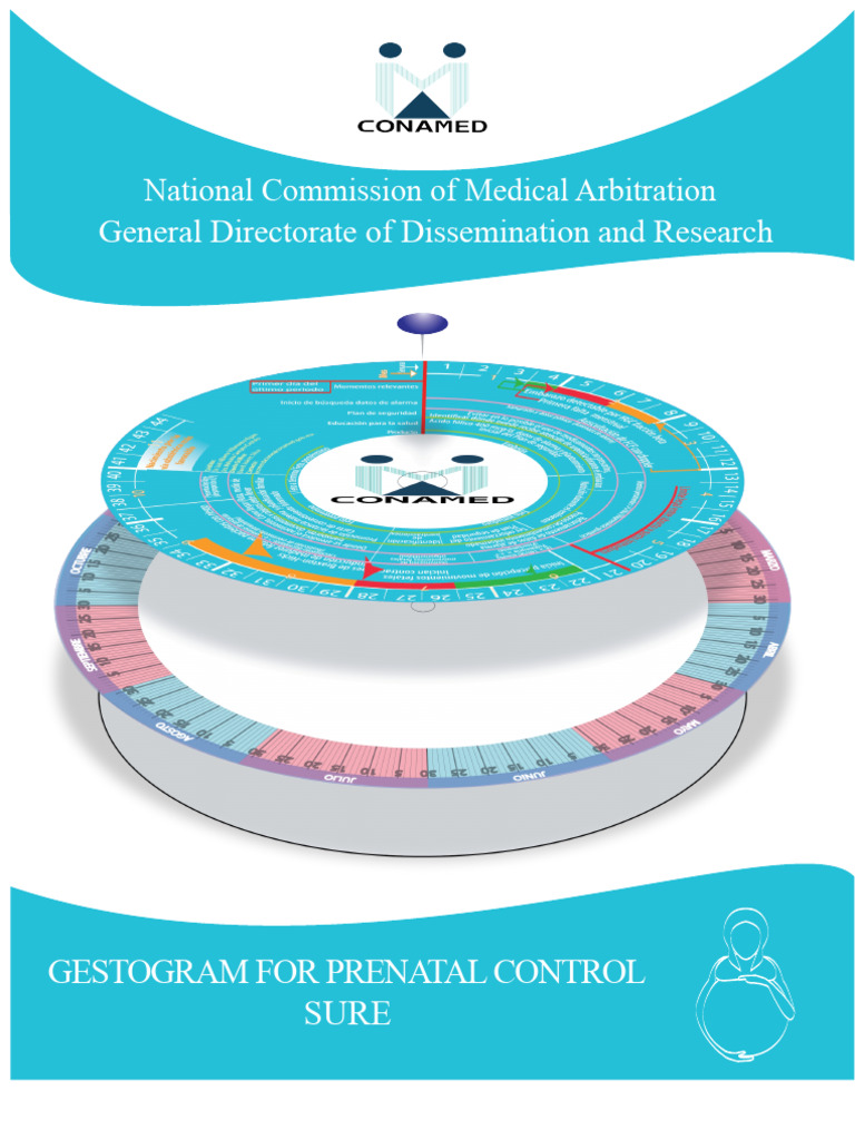 Prenatal Care Gestogram Guide | PDF | Pregnancy | Prenatal Development