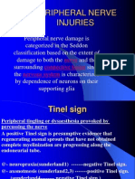 Peripheral Nerve Injuries: Nerve Connective Tissue Nervous System